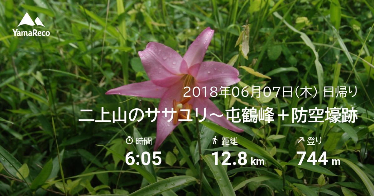 山行記録: 二上山のササユリ〜屯鶴峰＋防空壕跡