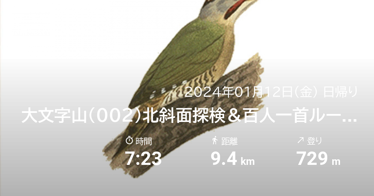 山行記録: 大文字山（002）北斜面探検　百人一首ルート開拓