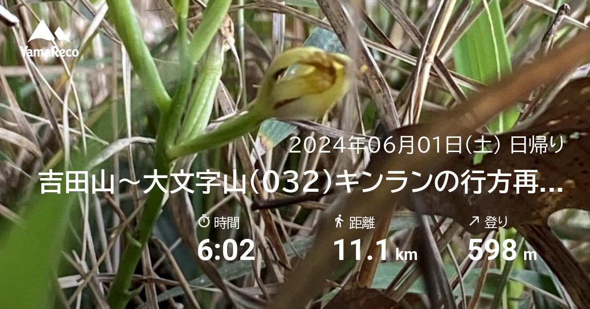 山行記録: 大文字山（031）吉田山〜キンランの行方再々確認 北斜面周遊