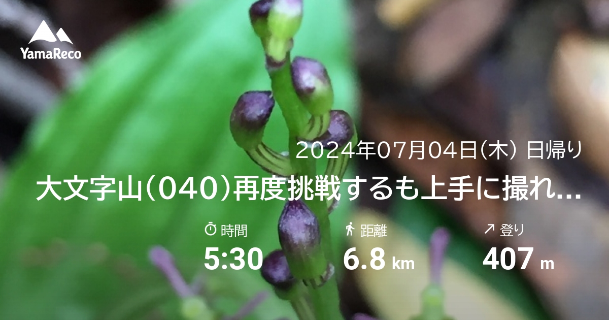 山行記録: 大文字山（040）再度挑戦するも上手に撮れない(-_-;)
