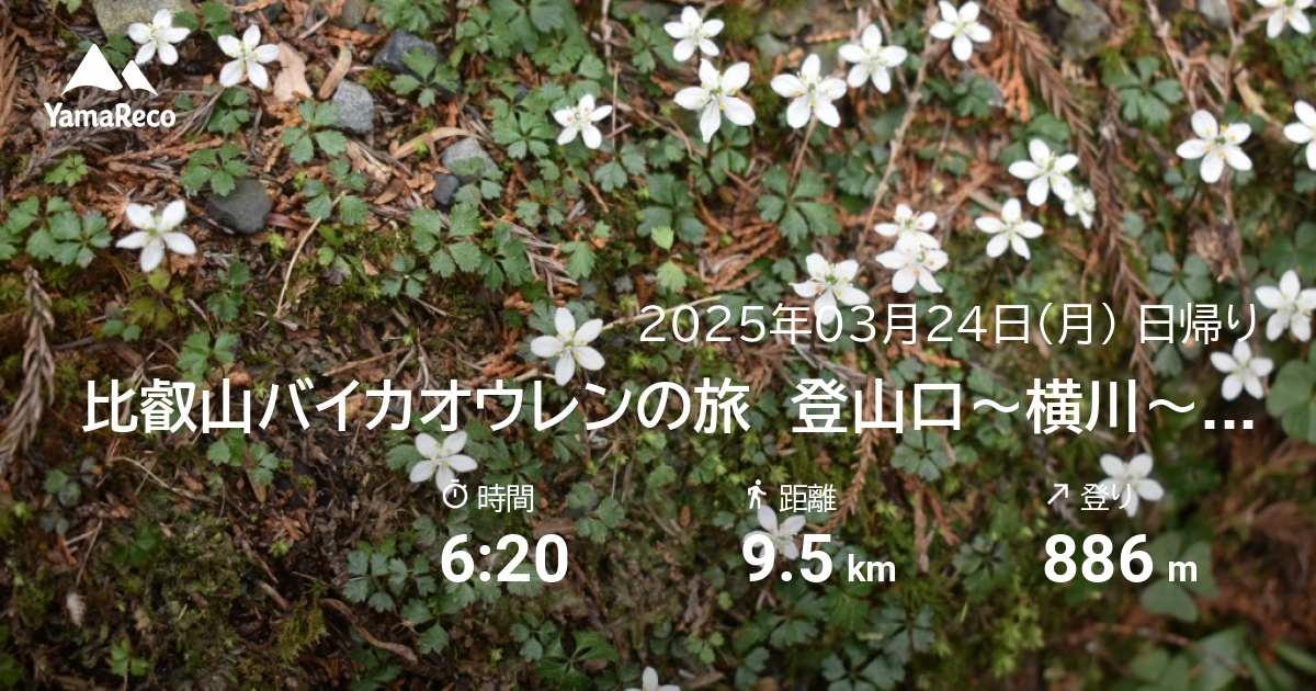山行記録: 比叡山バイカオウレンの旅　登山口〜横川〜仰木峠〜大原