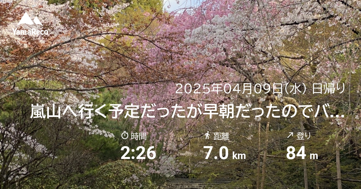 山行記録: 嵐山へ行く予定だったが早朝だったのでバス、電車がない(-_-;)　歩いて行ける妙心寺、竜安寺、仁和寺へ
