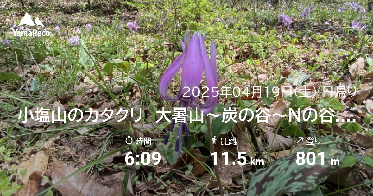 山行記録: 小塩山のカタクリ　大暑山〜炭の谷〜Nの谷...正法寺、大原野神社、勝持寺、願行寺